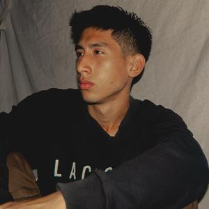 成振怡