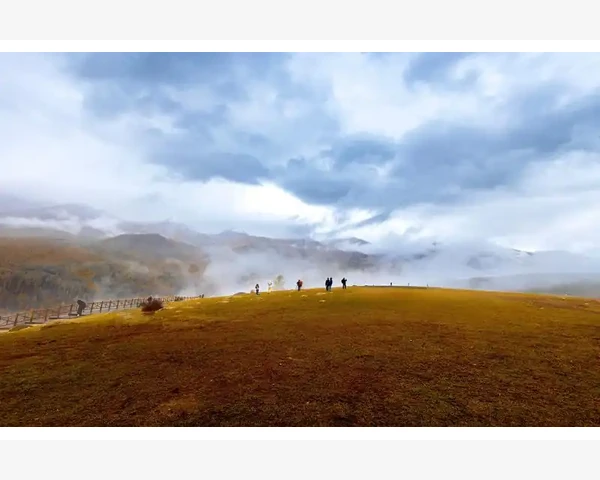 润肺化痰疏肝花茶，喝什么最合适？